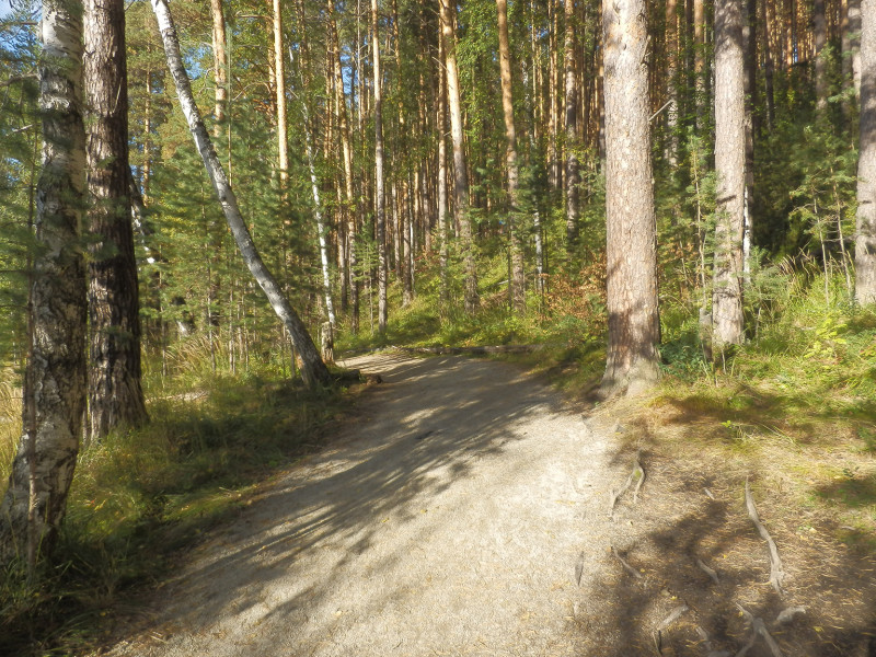 Park near Sisert