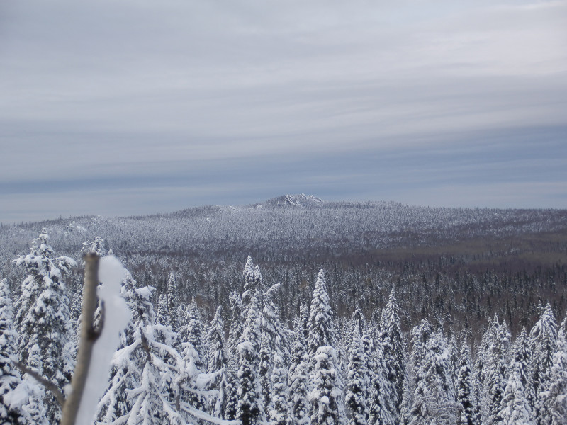 View on the northern Shunuth rocks