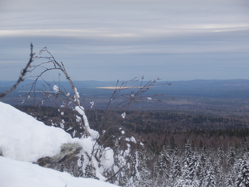 Sunlight on the distant forest