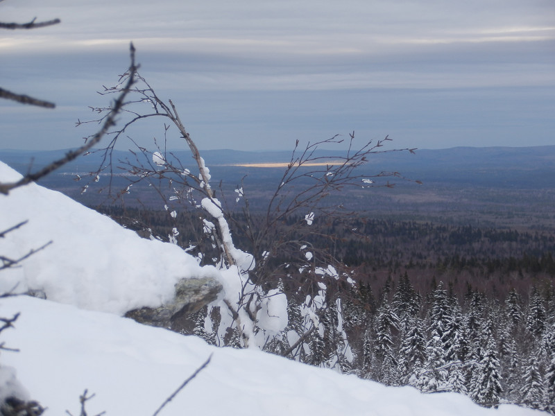 Sunlight on the distant forest