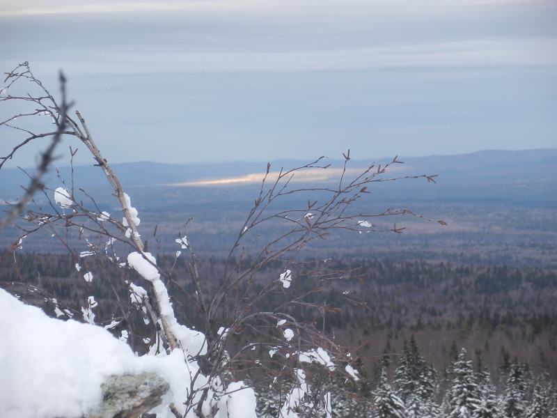  Sunlight on the distant forest