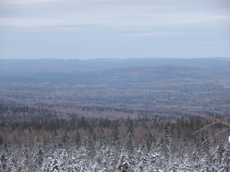 View from rocks