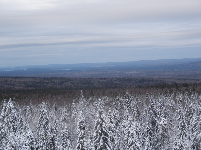 View from rocks