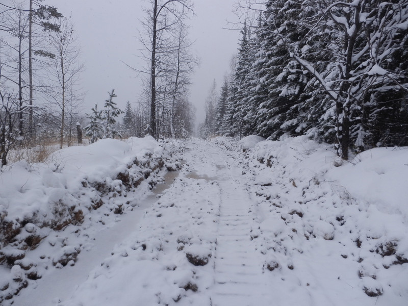 Road to Berezovaya mountain