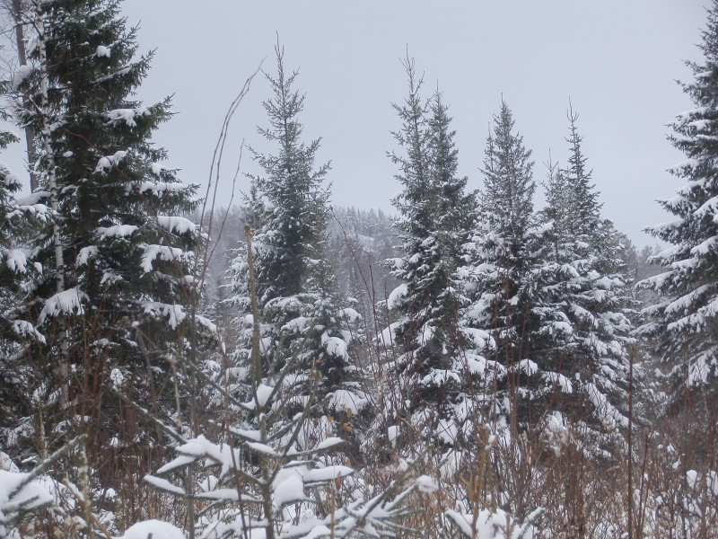 Berezovaya mountain