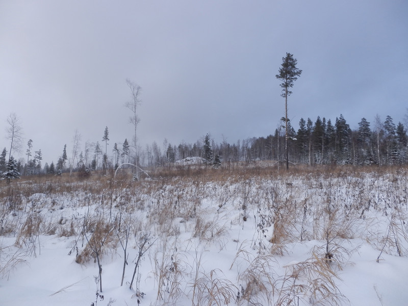 Open area in front of Berezovaya mountain