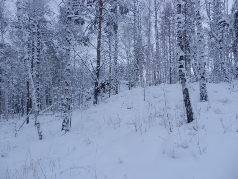 On the peak of Berezovaya mountain