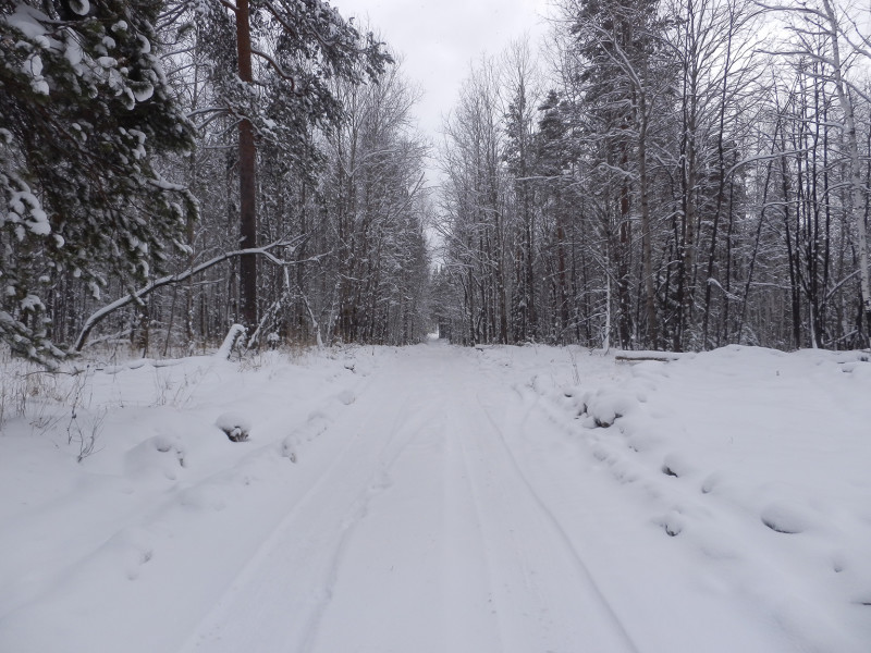 Road to Berezovaya mountain