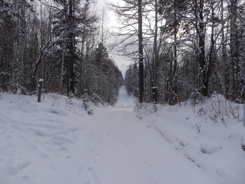 Road to Berezovaya mountain