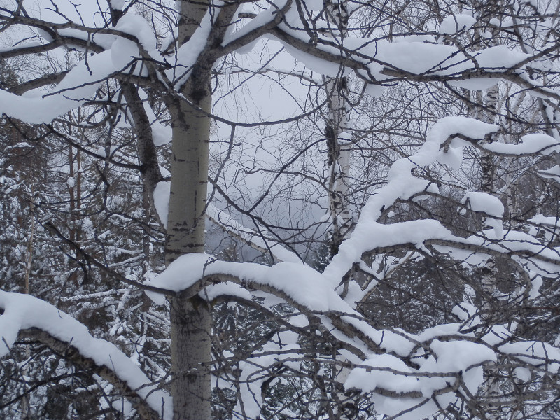 View from Berezovaya mountain