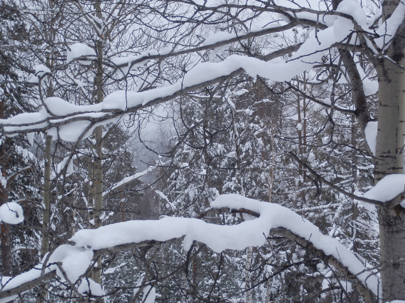 View from Berezovaya mountain