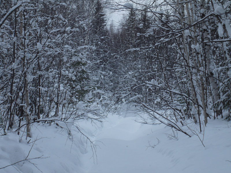 Winter uphill to Shunuth through snowdrifts