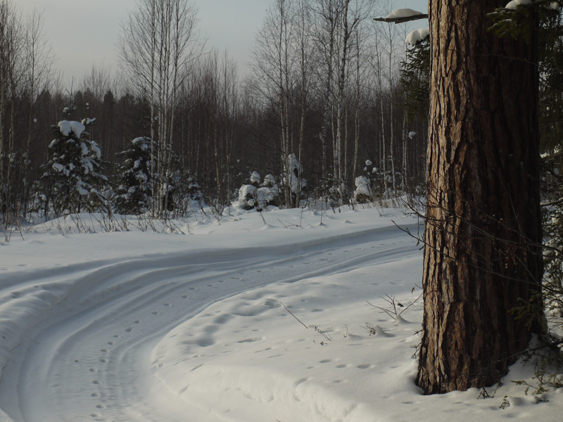 Road to cordon near Large Lavrovka