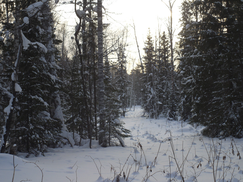 Road to the south, Sun is partially closed with clouds