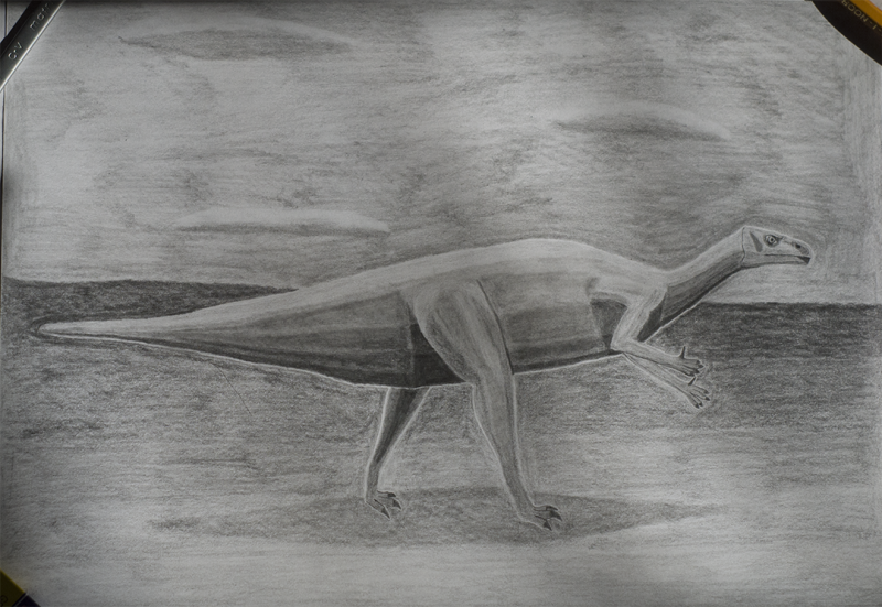 Iguanodon drawing
