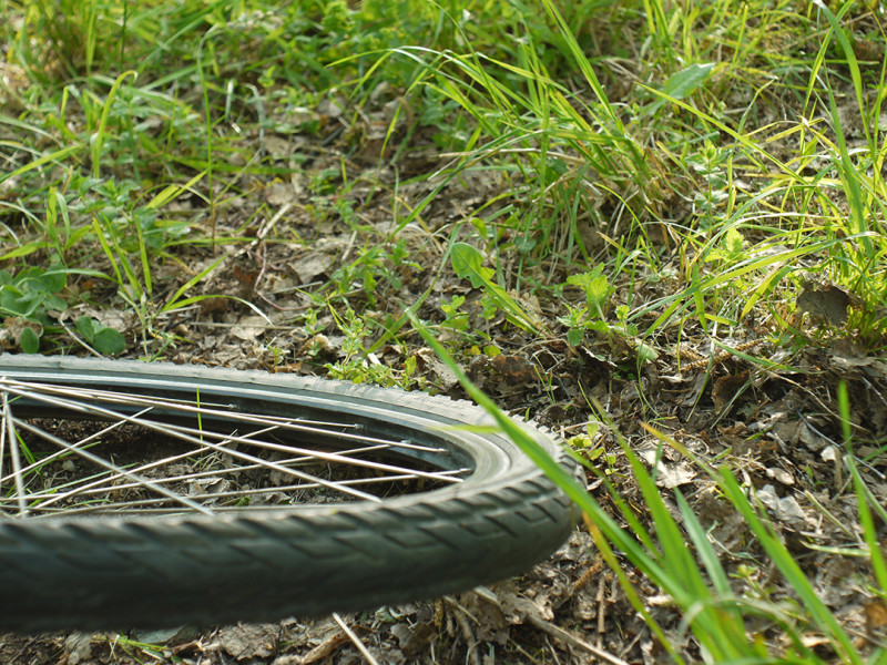 Morning, bicycles cross-country marathon competitions Kirgishany 2016