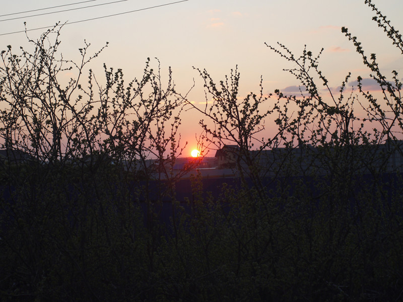 Sunset above Polevskoy highway, excursion in the parks of Yekaterinburg, organized by Sportek shop