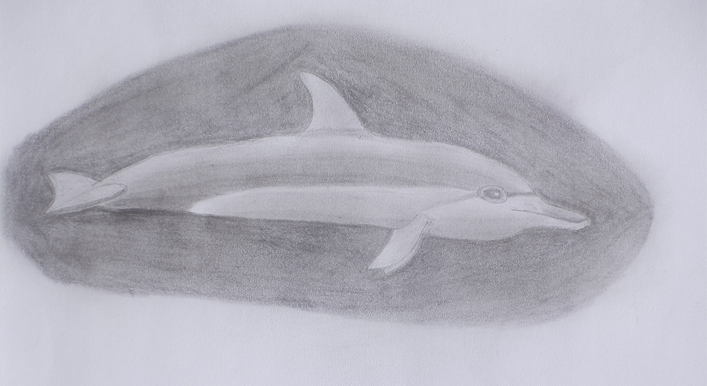 Pencil drawn dolphin