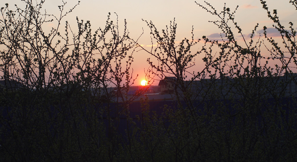 Закат Солнца над Полевским трактом, экскурсия по паркам Екатеринбурга, организованная магазином Спортэк