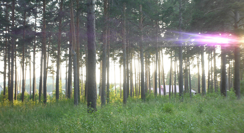Тестирование хроматических аберраций положения : ветви и стволы деревьев на фоне неба с небольшой экспозицией + пример цветной полоски, когда Солнце близко к краю кадра  - Тестирование M39-объектива Индустар 69 на Micro 4/3 матрице